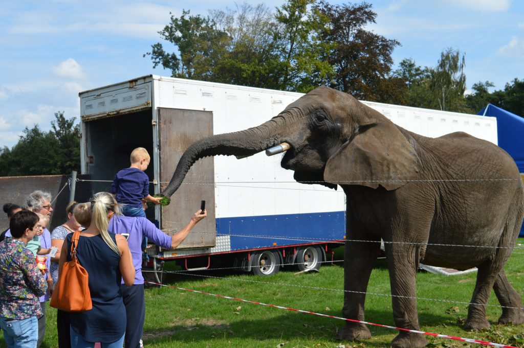 Burgemeester In 't Veldpark