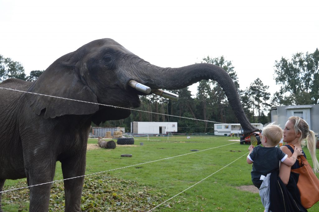 Burgemeester In 't Veldpark